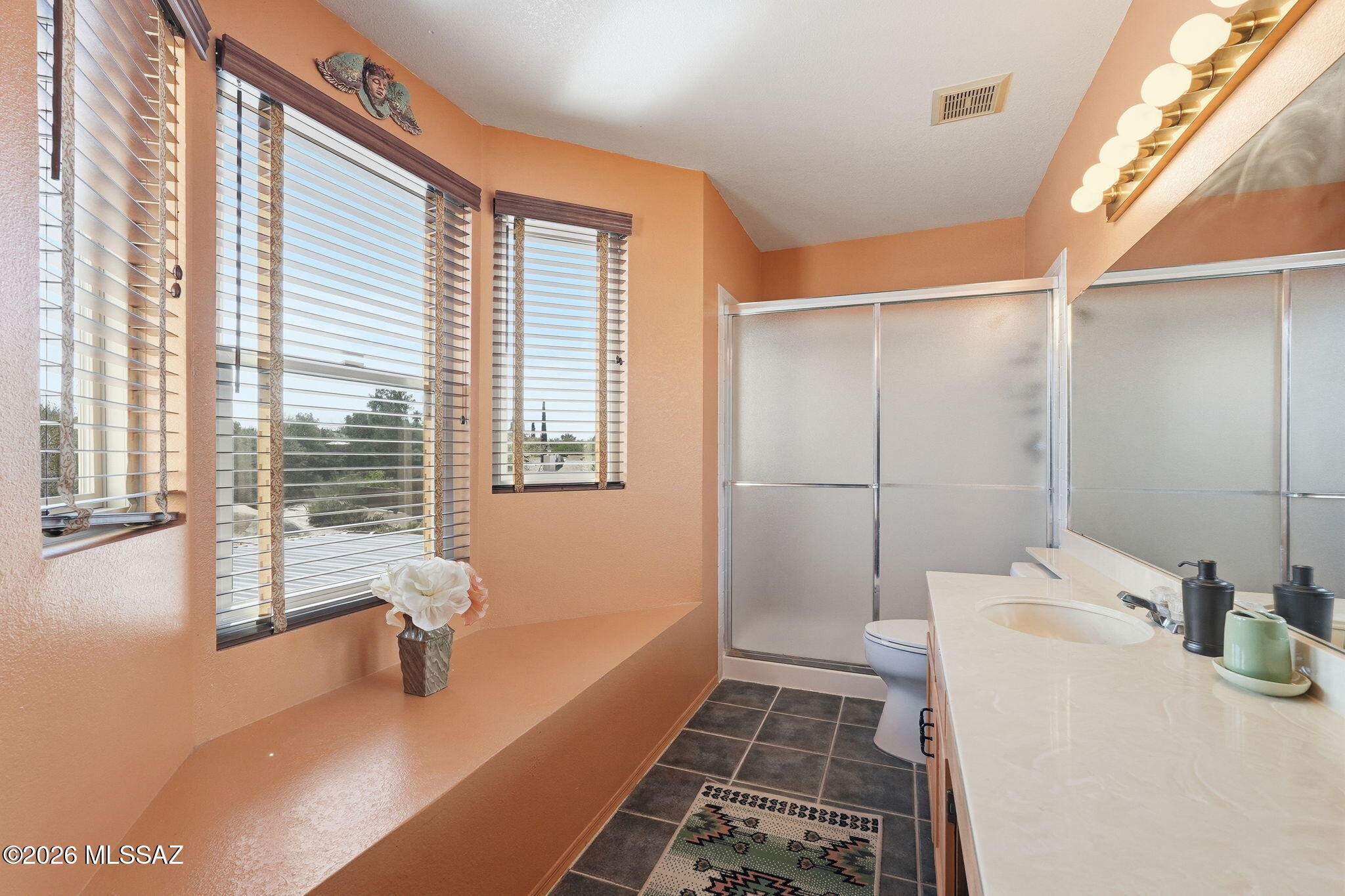 10117 East Arizmo Street Tucson, AZ 85748 - Photo 29 of 38