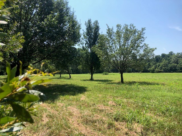 1 Mt Nebo Road, Unit 1 Onancock, VA 23417 - Photo 2 of 11