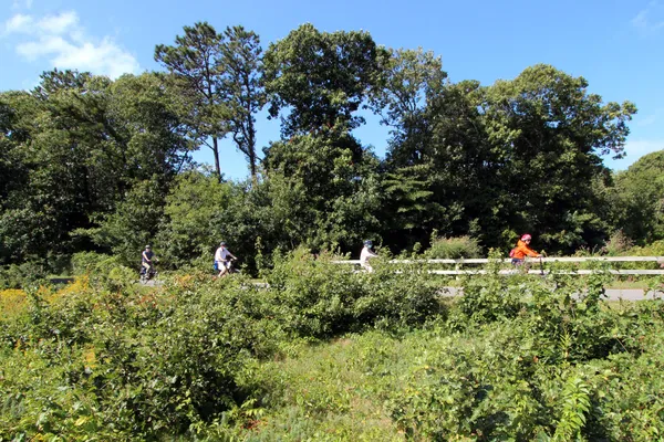 a backyard of a house with a tree plant and outdoor seating