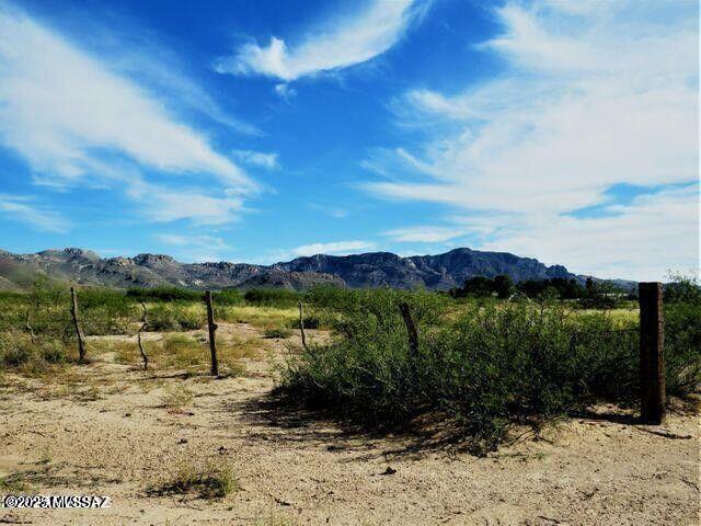 3 Triangle Ranches San Simon, AZ 85632 - Photo 6 of 11 Gallery Image 6