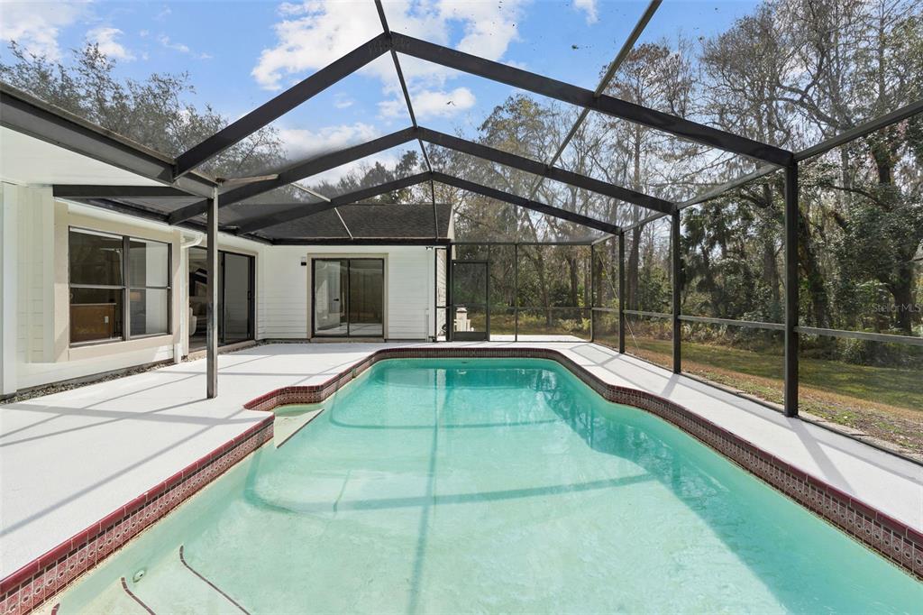 346 Carson Lane Palm Harbor, FL 34684 - Photo 32 of 42