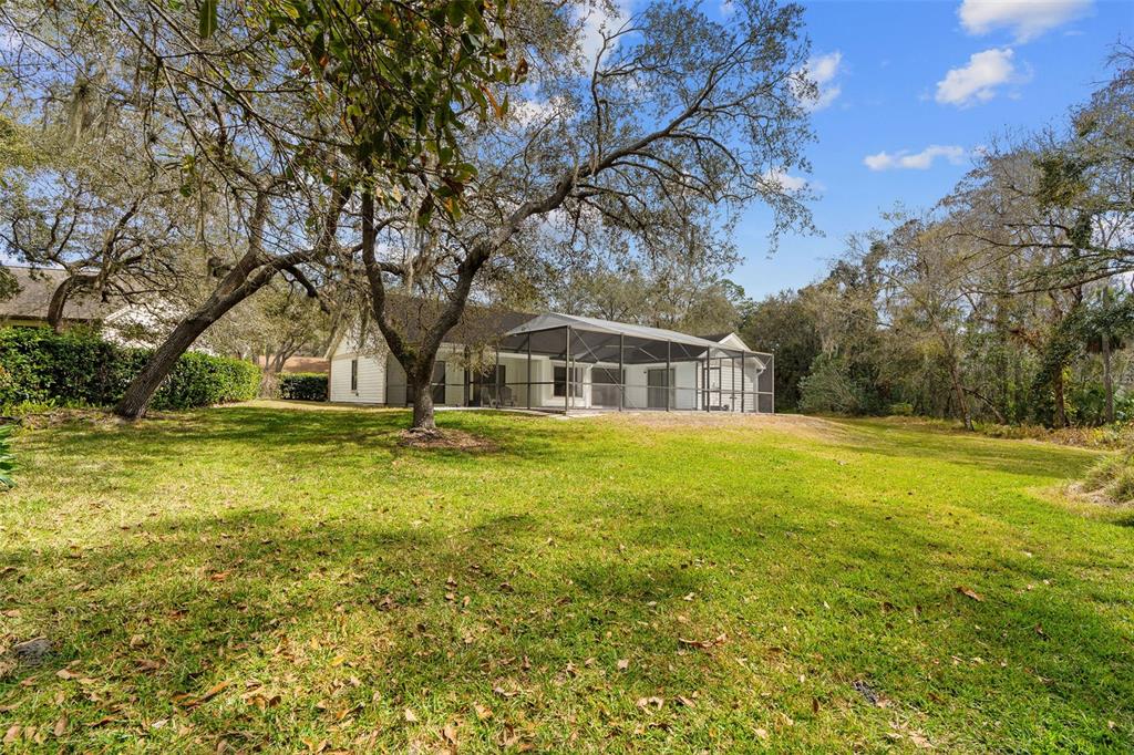 346 Carson Lane Palm Harbor, FL 34684 - Photo 35 of 42