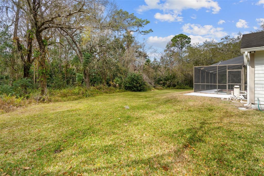 346 Carson Lane Palm Harbor, FL 34684 - Photo 36 of 42