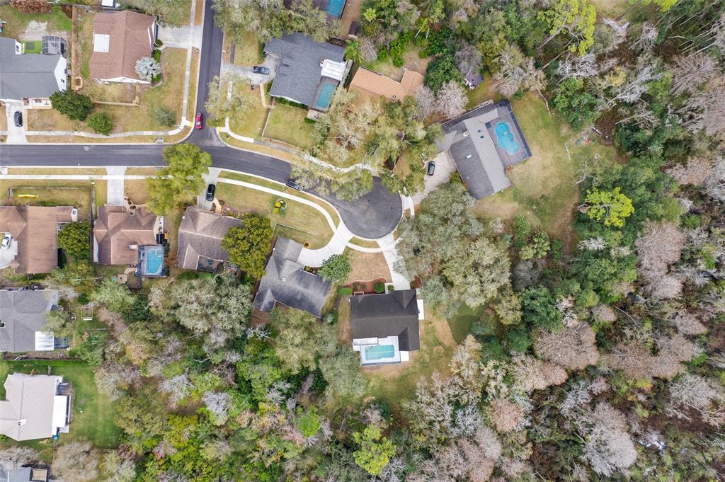 346 Carson Lane Palm Harbor, FL 34684 - Photo 38 of 42