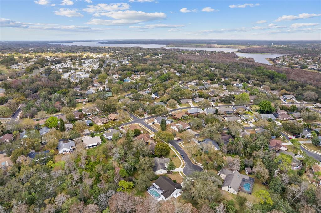 346 Carson Lane Palm Harbor, FL 34684 - Photo 39 of 42