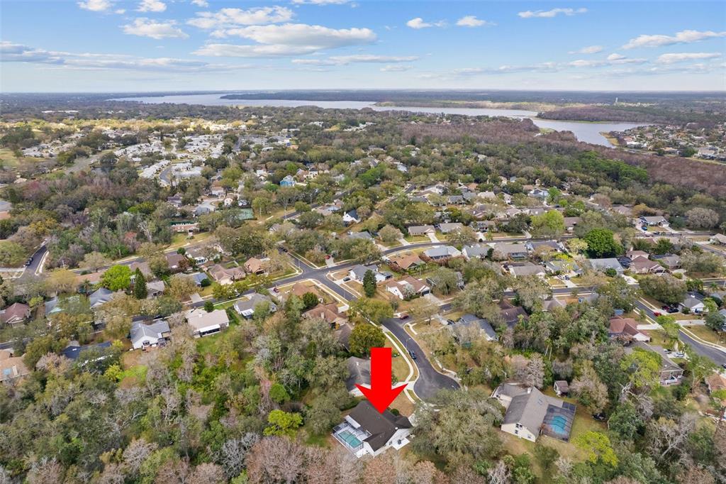 346 Carson Lane Palm Harbor, FL 34684 - Photo 40 of 42