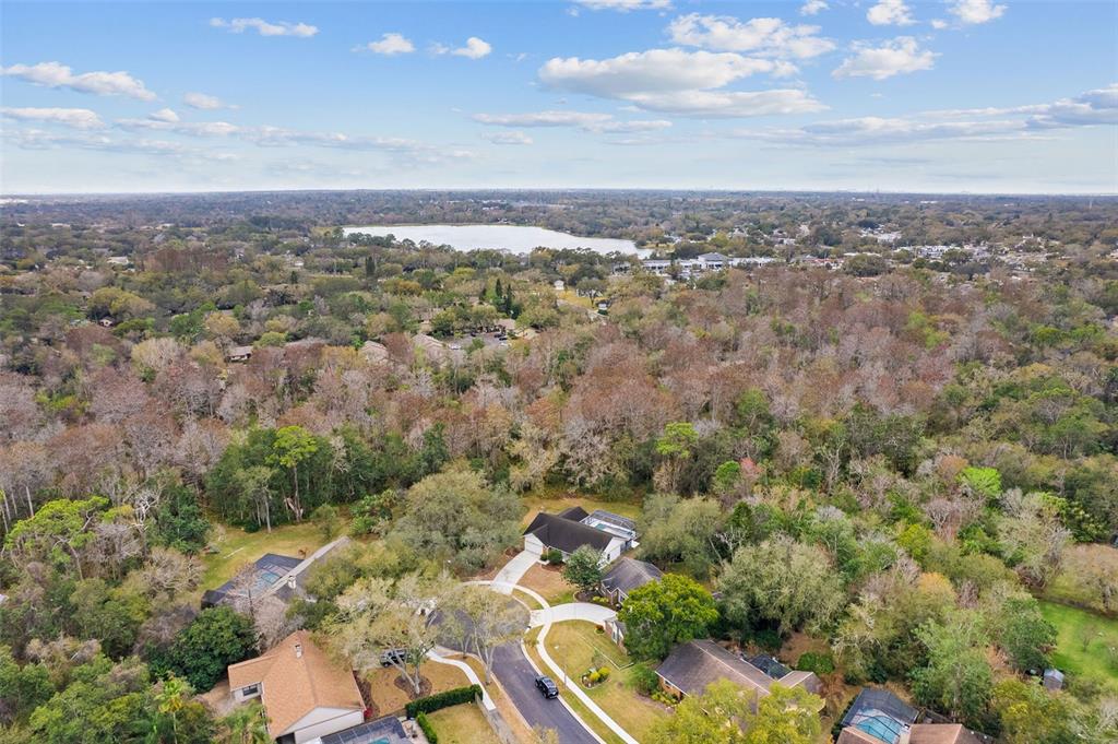 346 Carson Lane Palm Harbor, FL 34684 - Photo 41 of 42