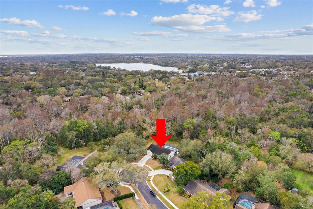 346 Carson Lane Palm Harbor, FL 34684 - Photo 42 of 42