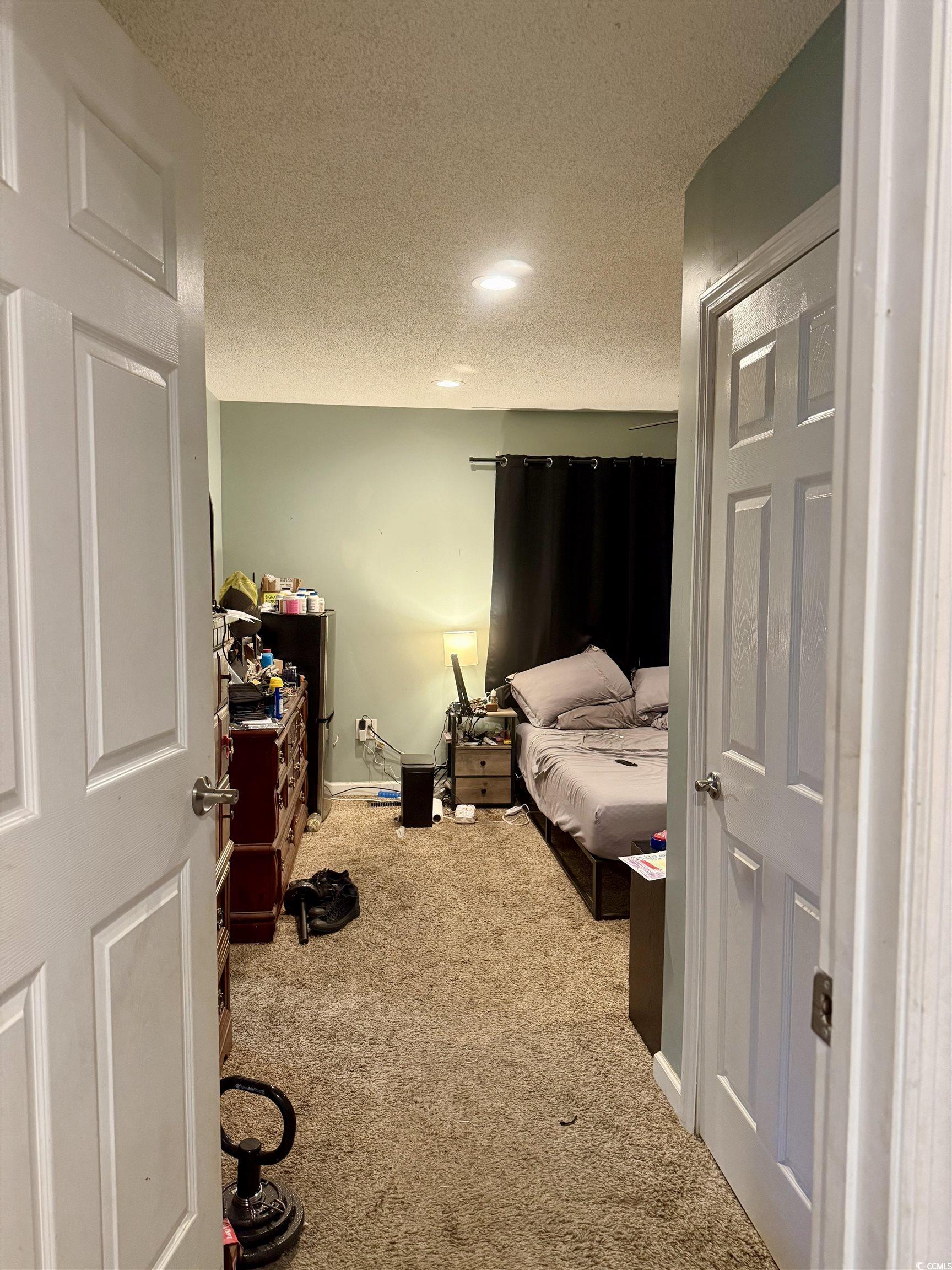 2408 South Island Road Georgetown, SC 29440 - Photo 28 of 35 Bedroom featuring carpet floors, a textured ceilin