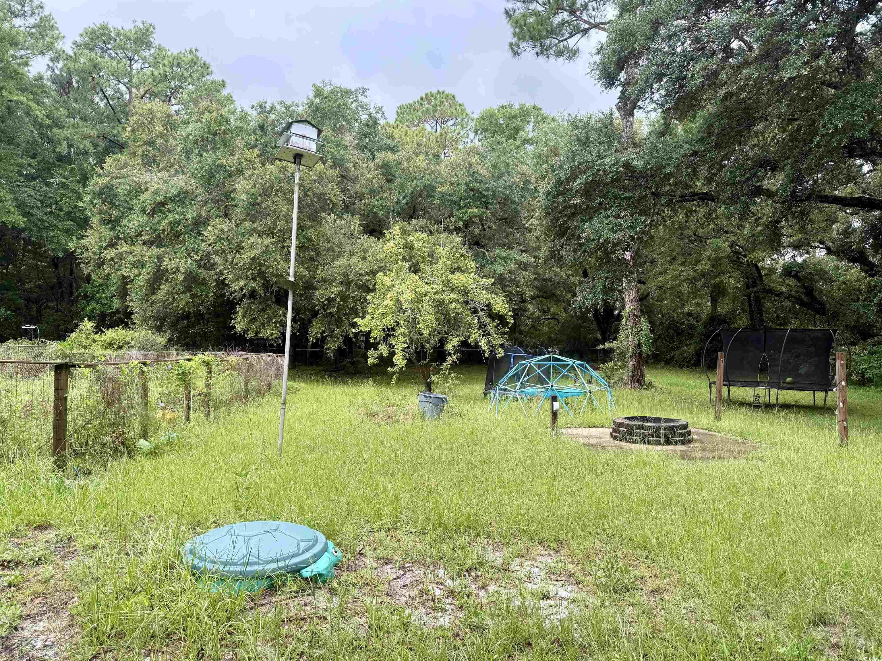 2408 South Island Road Georgetown, SC 29440 - Photo 8 of 35 View of yard with a fire pit and a trampoline