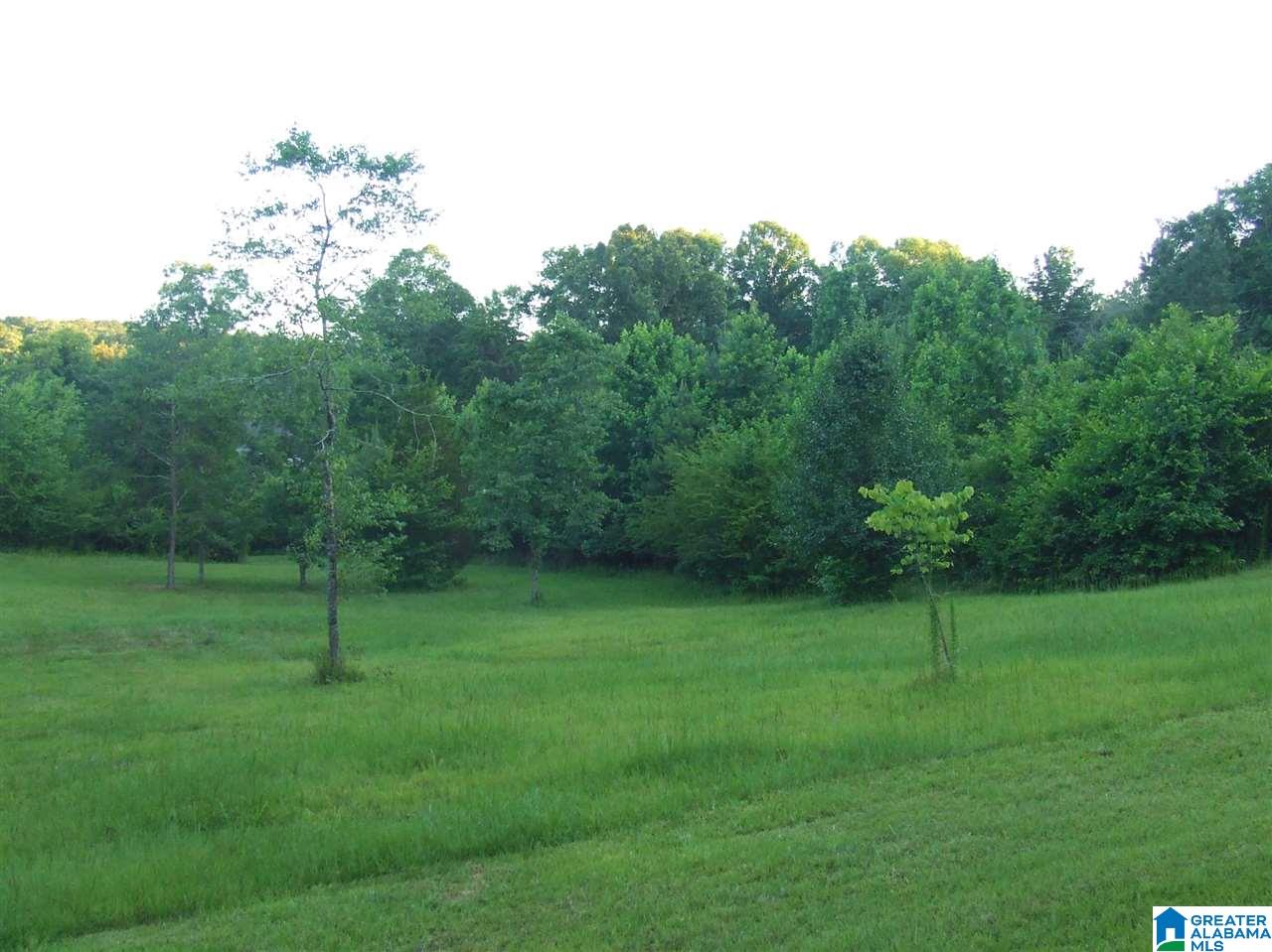 7970 Blackie Curren Road, Unit LOT 1 Bessemer, AL 35022 - Photo 2 of 3