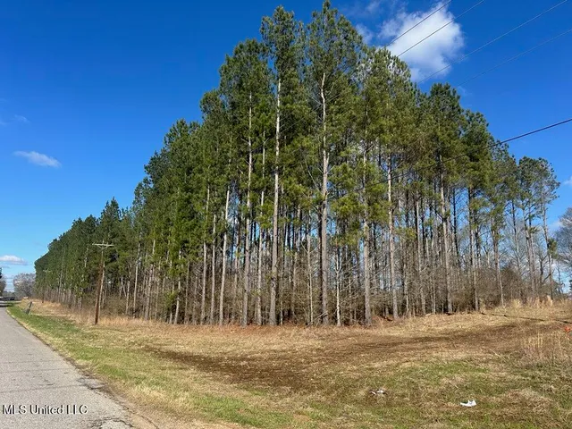 $60,825 | 99 Smith County Road, Bay Springs, MS 39422