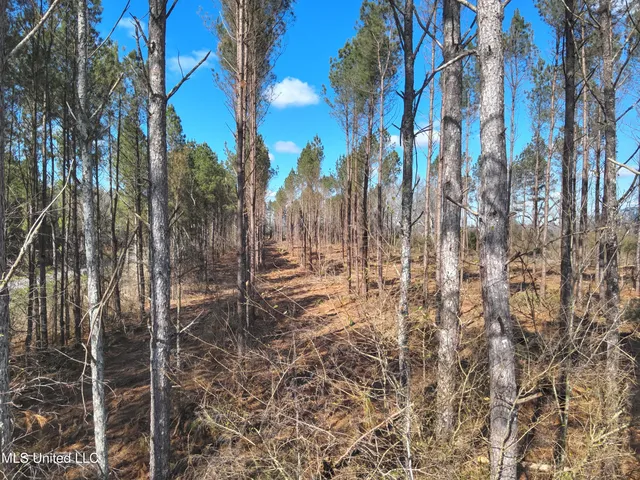 $60,825 | 99 Smith County Road, Bay Springs, MS 39422