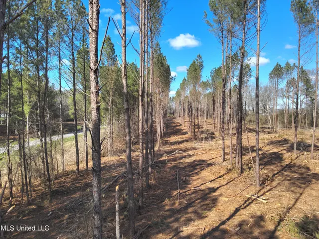 $60,825 | 99 Smith County Road, Bay Springs, MS 39422