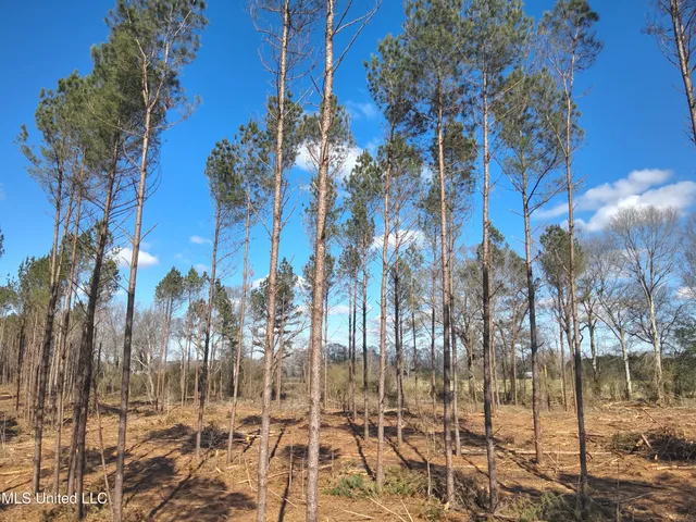 $60,825 | 99 Smith County Road, Bay Springs, MS 39422