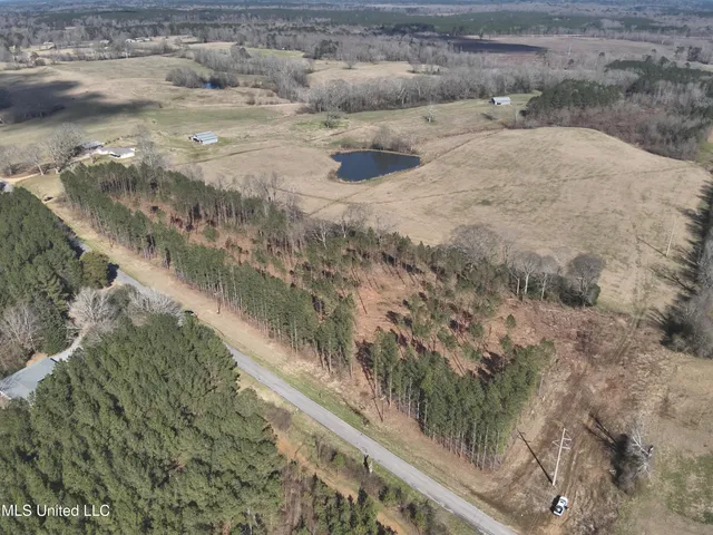 $60,825 | 99 Smith County Road, Bay Springs, MS 39422