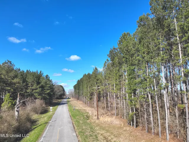 $60,825 | 99 Smith County Road, Bay Springs, MS 39422