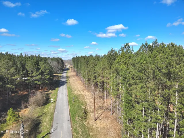 $60,825 | 99 Smith County Road, Bay Springs, MS 39422
