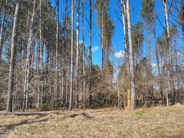 $60,825 | 99 Smith County Road, Bay Springs, MS 39422