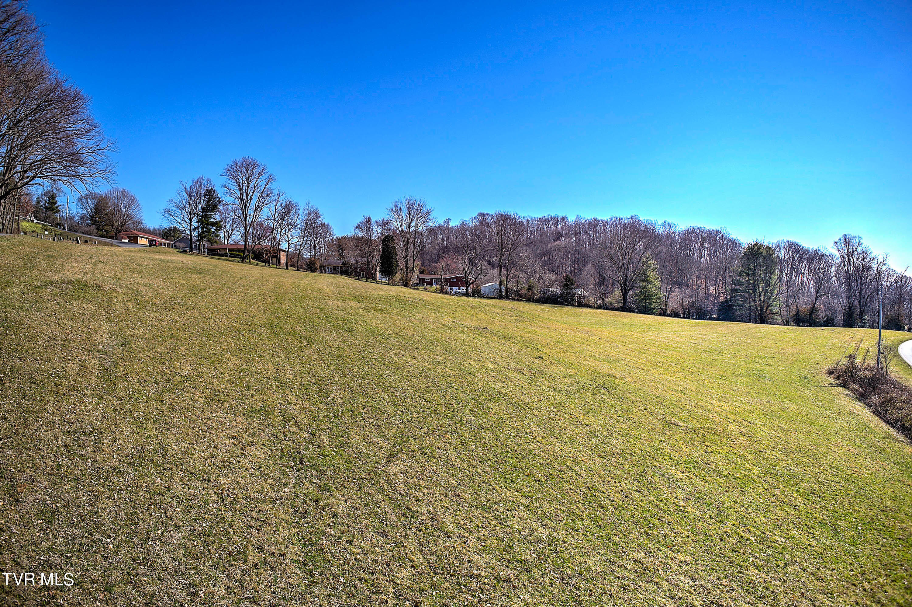 Tbd Browns Mill Road Johnson City, TN 37604 - Photo 5 of 10 BROWNS MILL RD-3