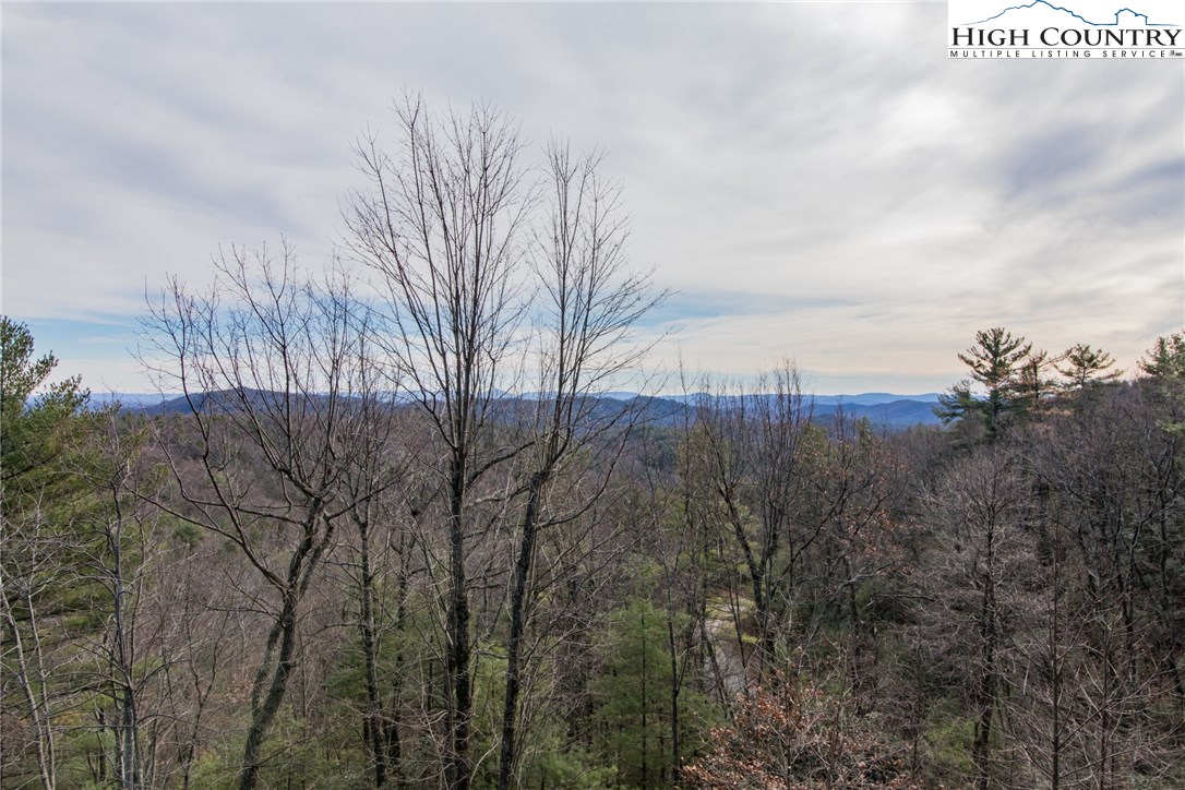 4091 Staghorn Road Purlear, NC 28665 - Photo 2 of 47 a view of a city with lush green forest