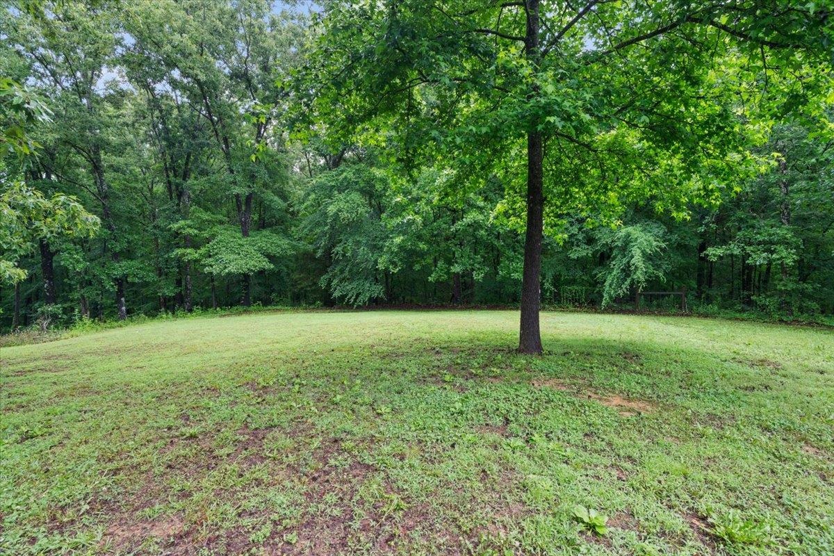 150 Liberty Road Moscow, TN 38057 - Photo 26 of 36 Expansive green lawn with a mature tree