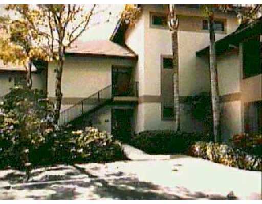 Primary Photo