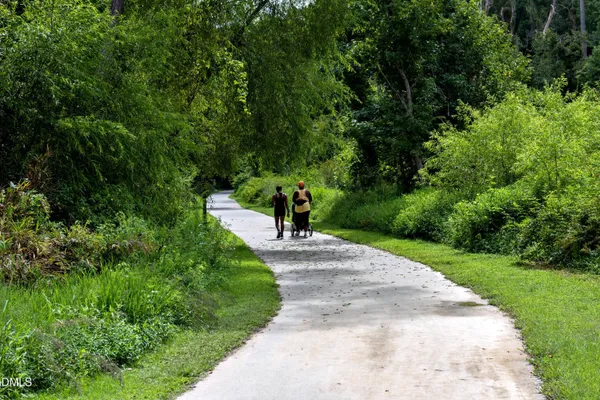 a view of a park with trees