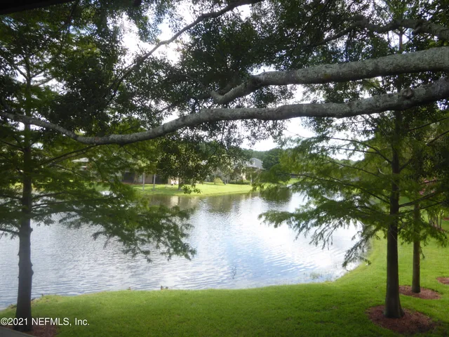 a view of lake from a yard
