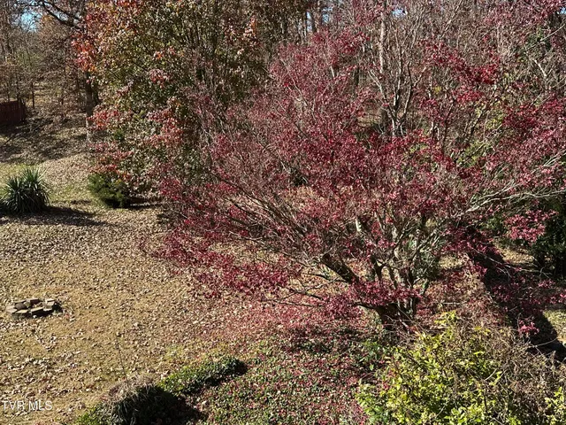 $480,000 | 2217 Sheffield Street, Kingsport, TN 37660