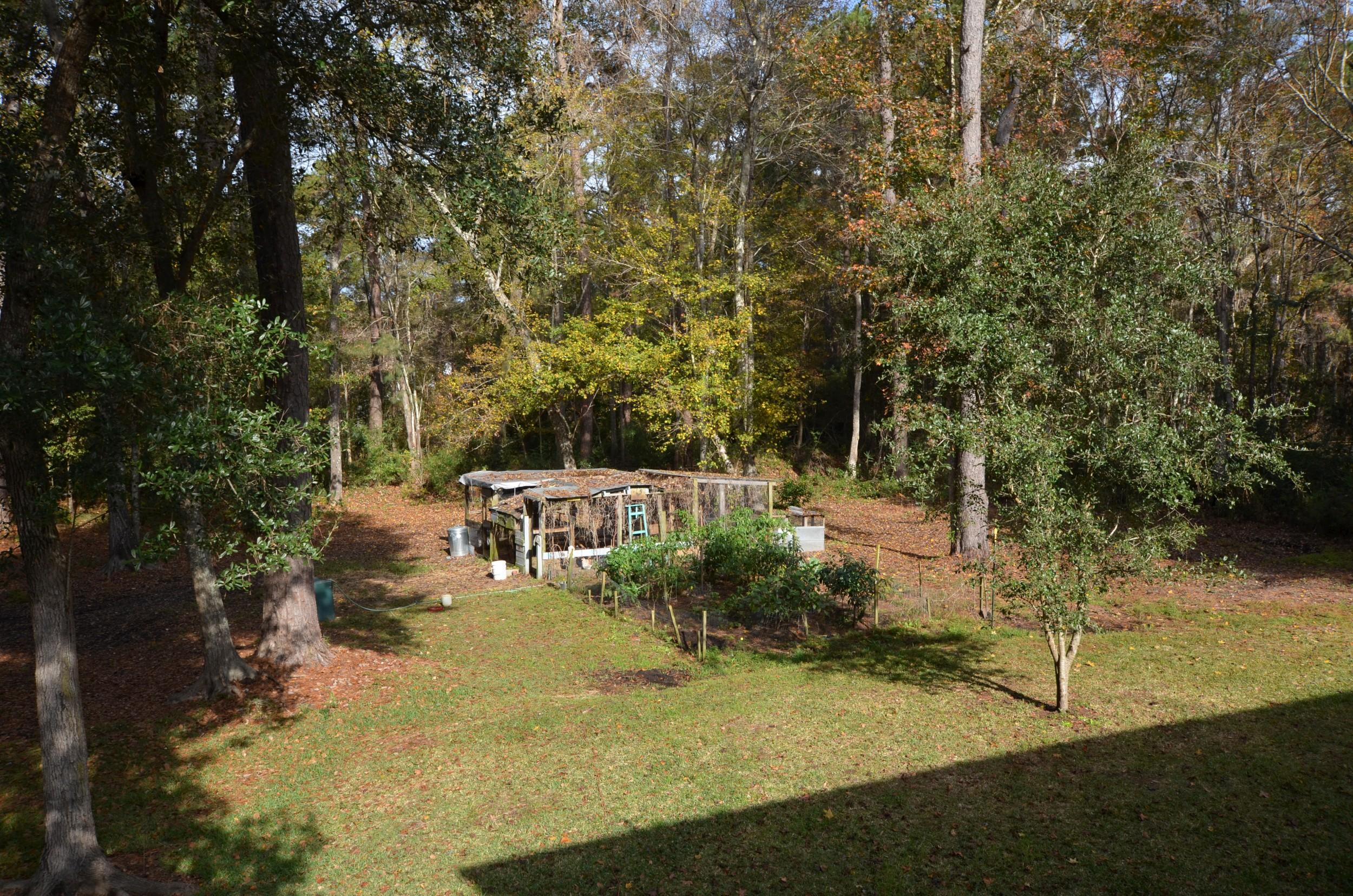 10048 South Carolina Road McClellanville, SC 29458 - Photo 14 of 15 3-back-yard