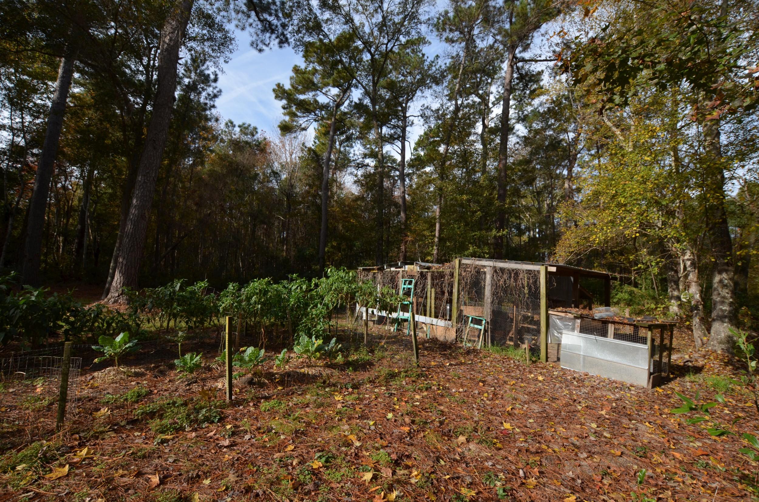 10048 South Carolina Road McClellanville, SC 29458 - Photo 15 of 15 4-chicken-coop