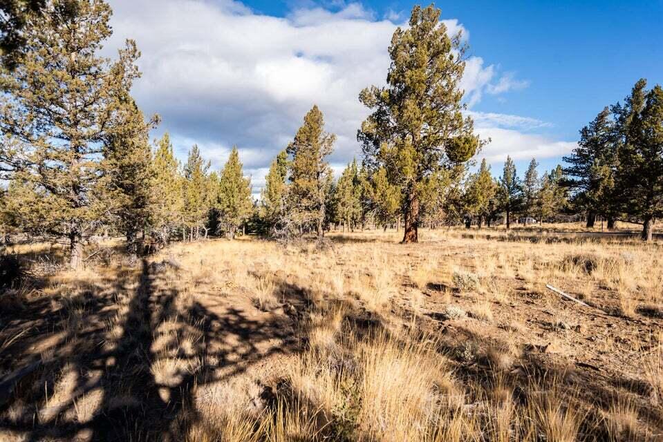 17630 Mountain View Road Sisters, OR 97759 - Photo 10 of 13 17630 Mountain View Rd