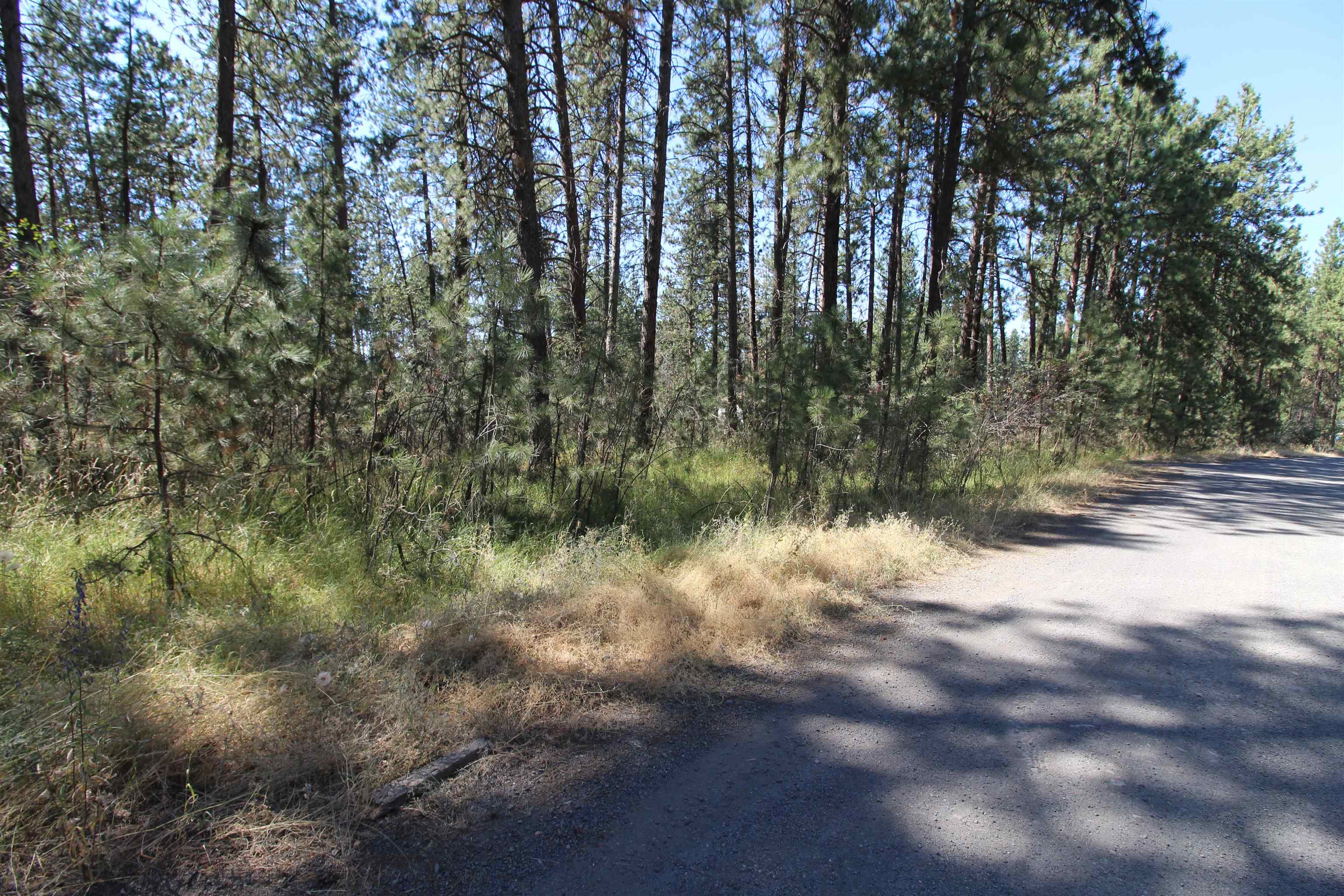 4210 South Bluff Road Spokane, WA 99224 - Photo 1 of 15