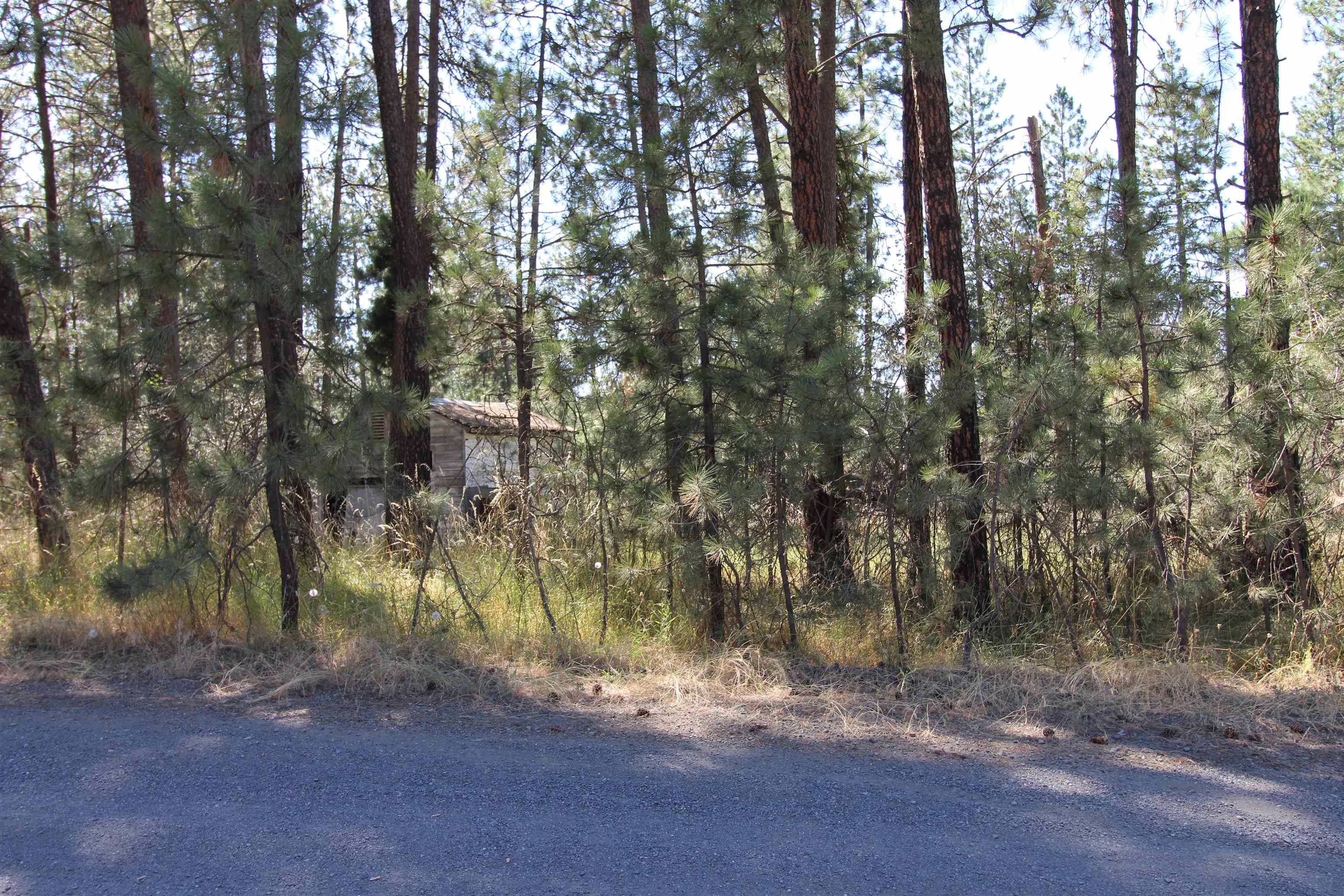 4210 South Bluff Road Spokane, WA 99224 - Photo 12 of 15
