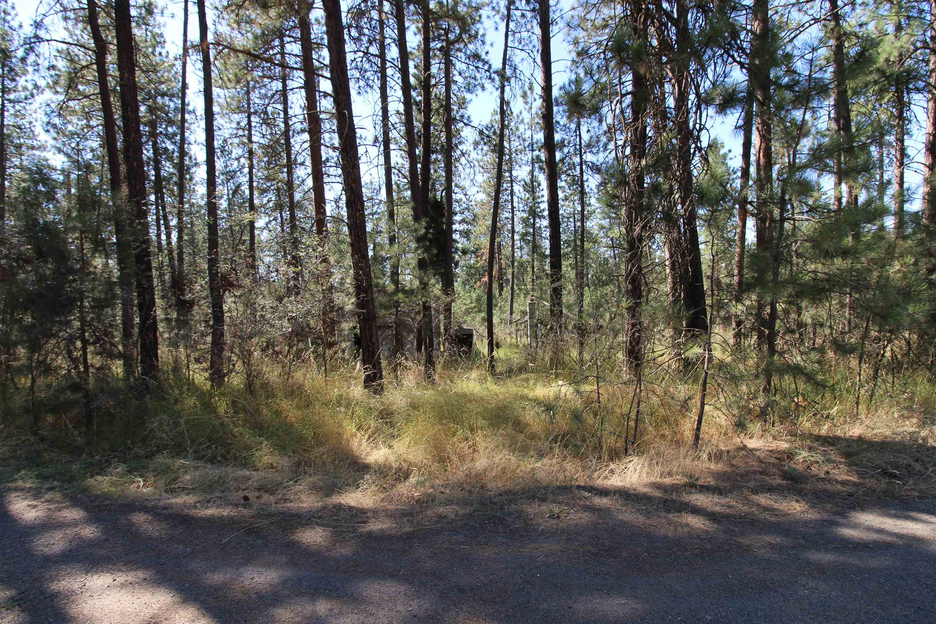 4210 South Bluff Road Spokane, WA 99224 - Photo 2 of 15
