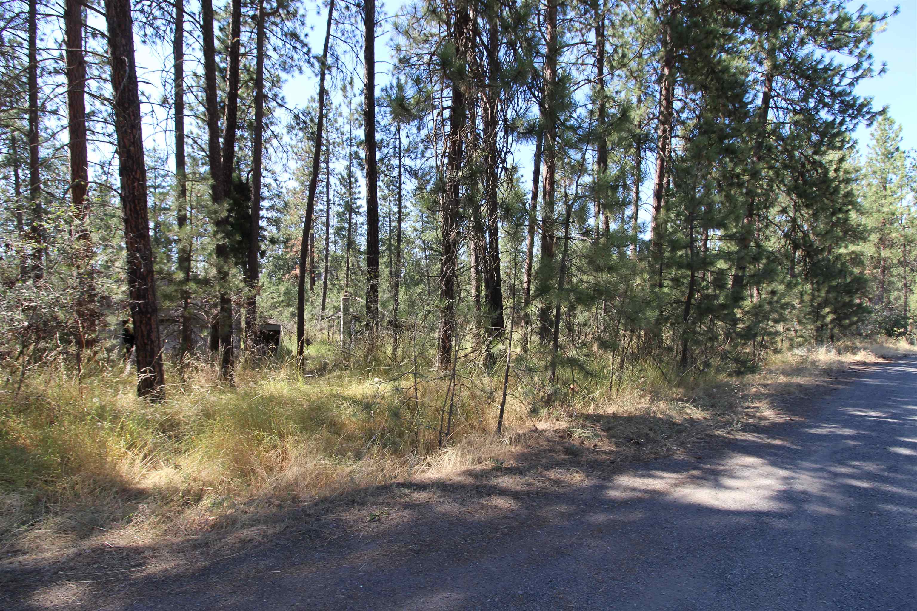 4210 South Bluff Road Spokane, WA 99224 - Photo 3 of 15