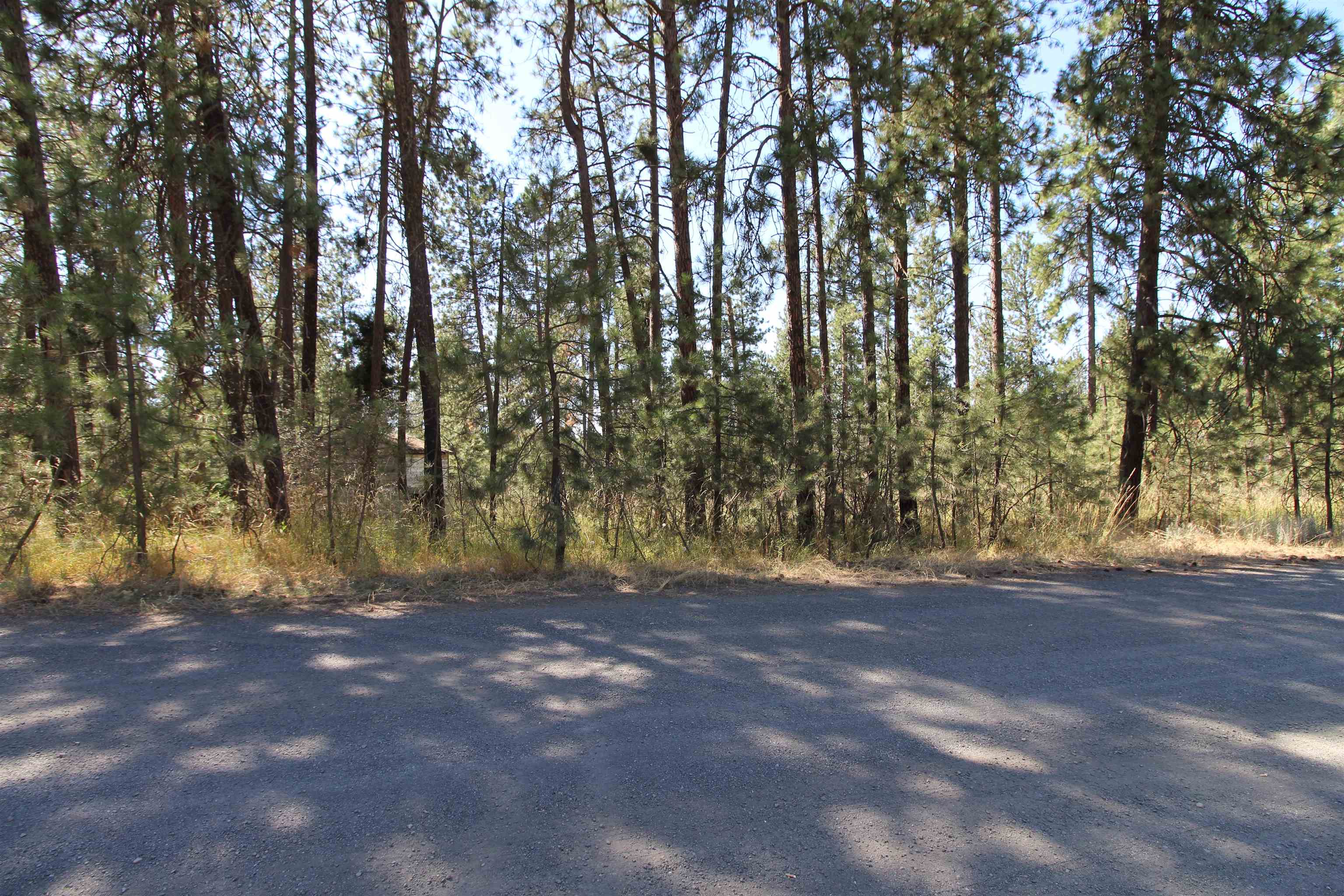 4210 South Bluff Road Spokane, WA 99224 - Photo 8 of 15
