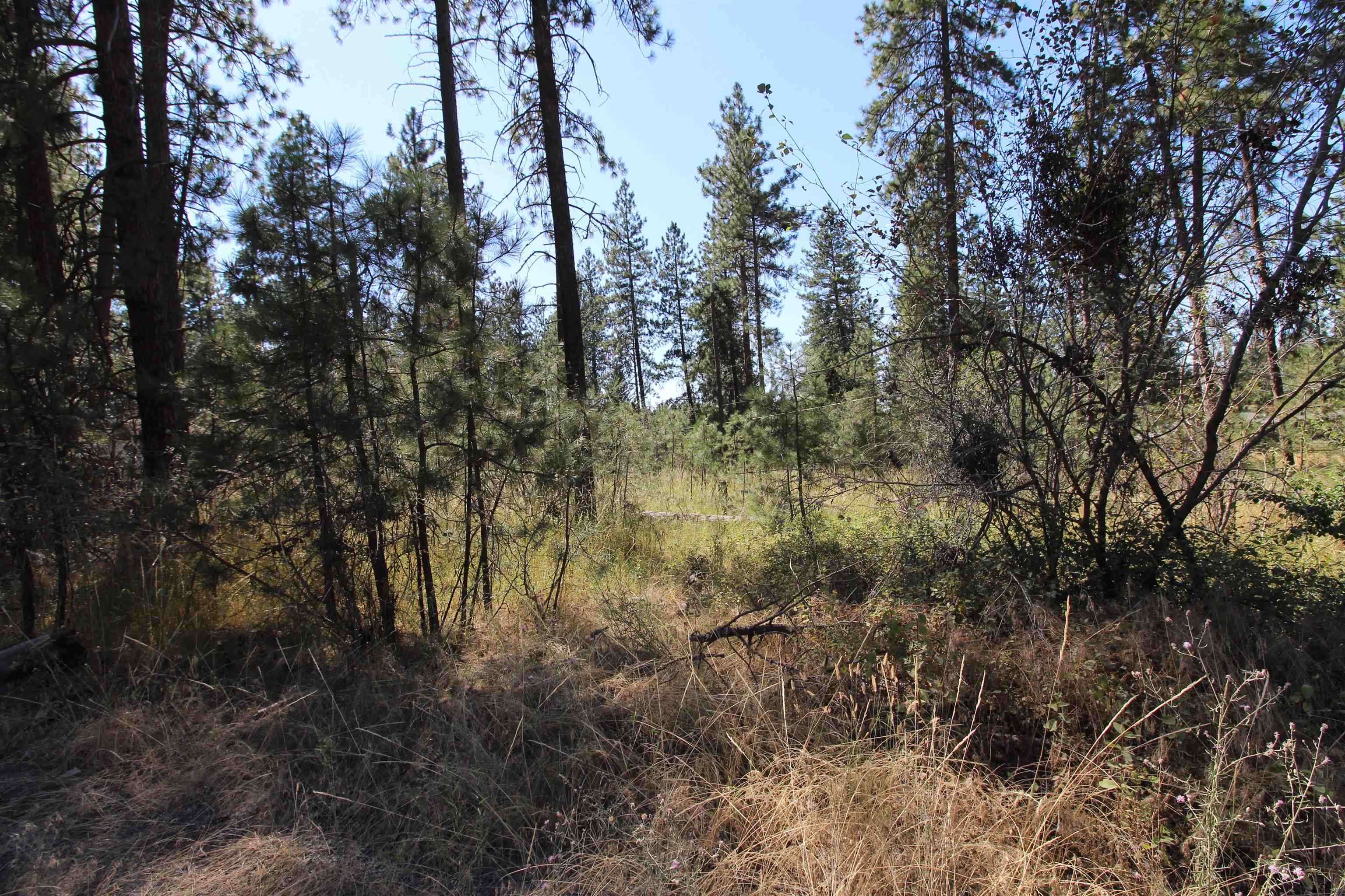 4210 South Bluff Road Spokane, WA 99224 - Photo 9 of 15