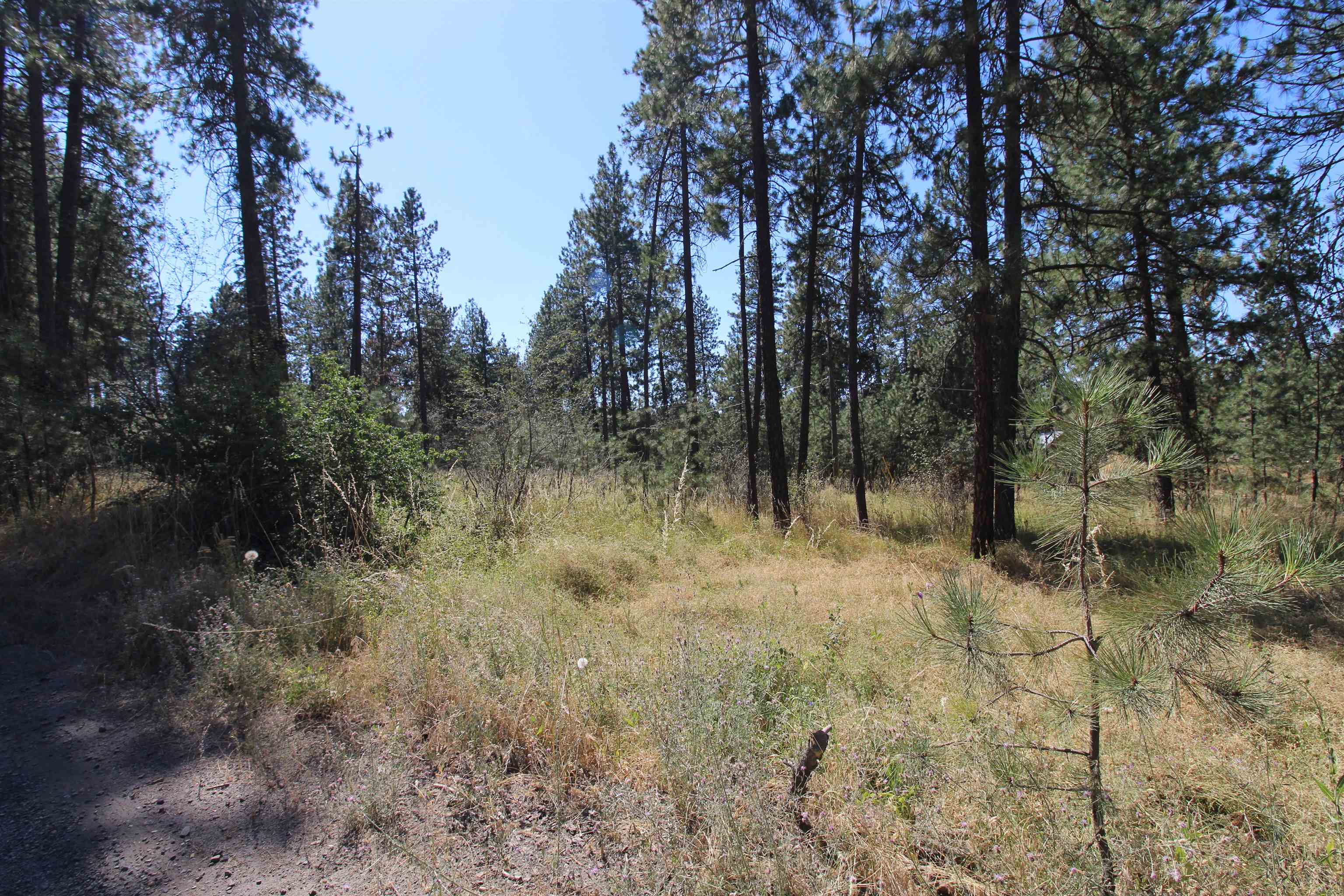 4210 South Bluff Road Spokane, WA 99224 - Photo 10 of 15