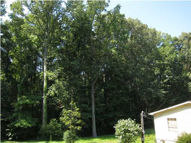 4035 McDonald Road Collegedale, TN 37302 - Photo 17 of 30 Additional Photo