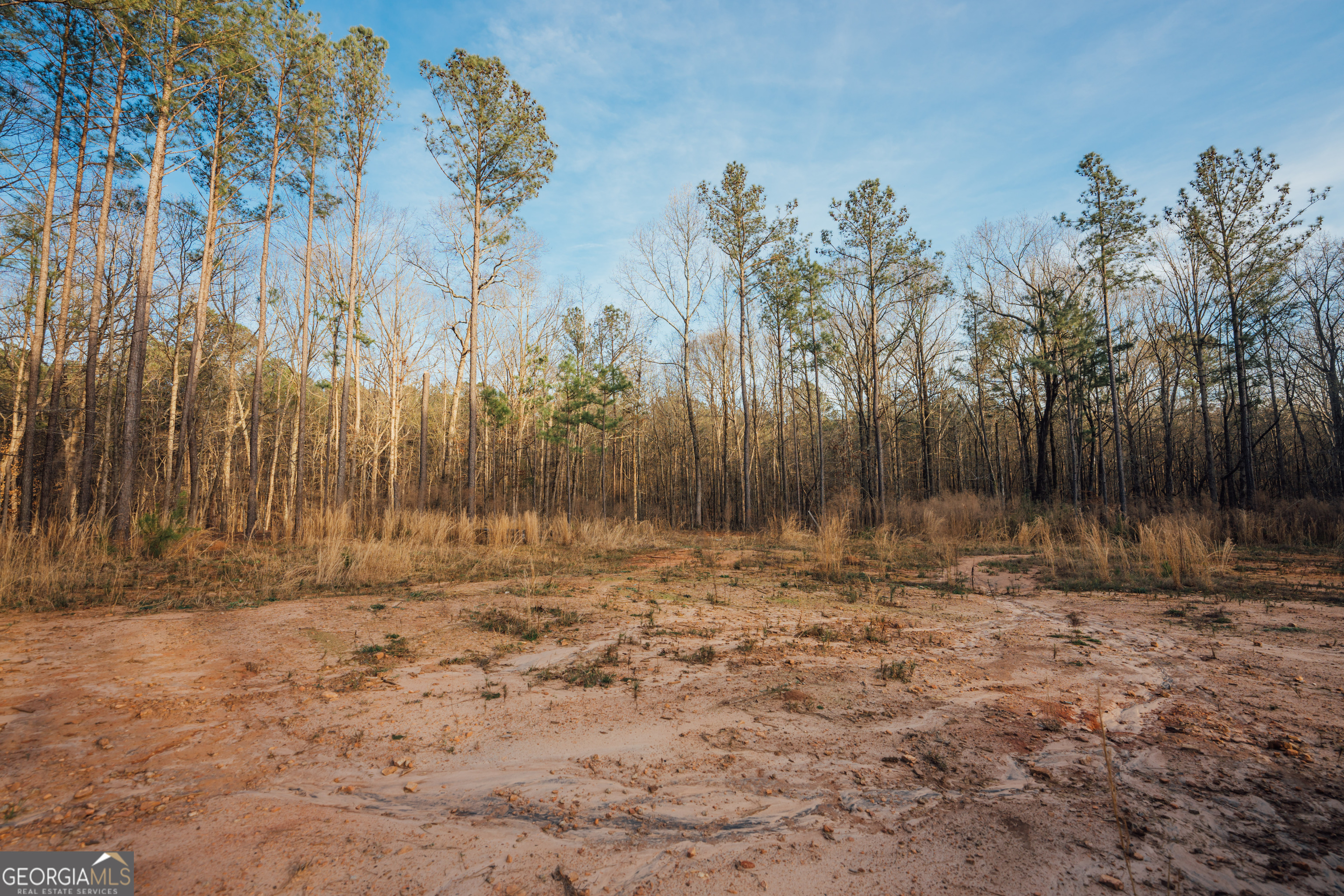 28.61-acres Sandy Creek Road Madison, GA 30650 - Photo 13 of 20 a view of dirt field with trees in background