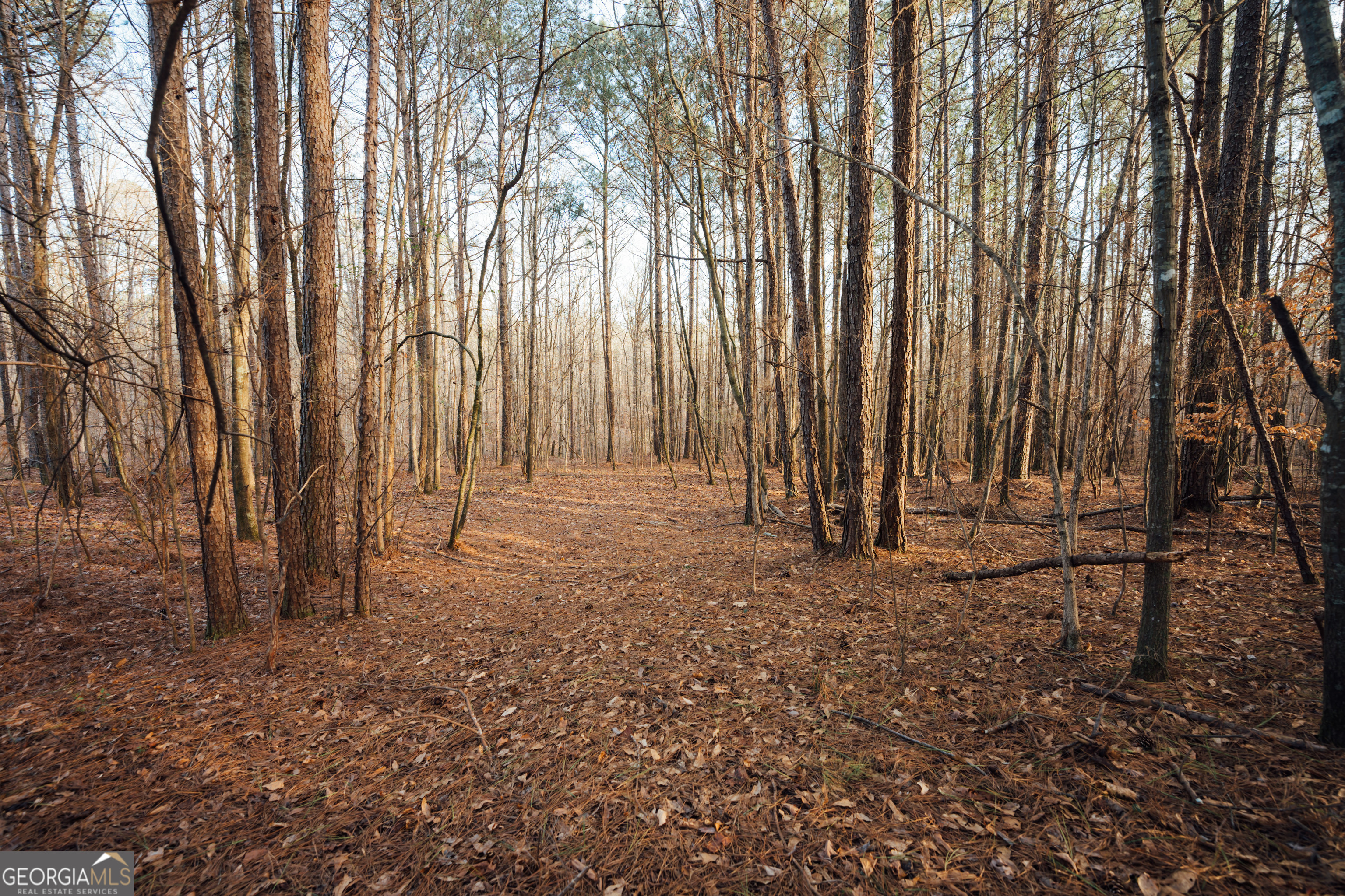 28.61-acres Sandy Creek Road Madison, GA 30650 - Photo 16 of 20 a view of backyard with green space