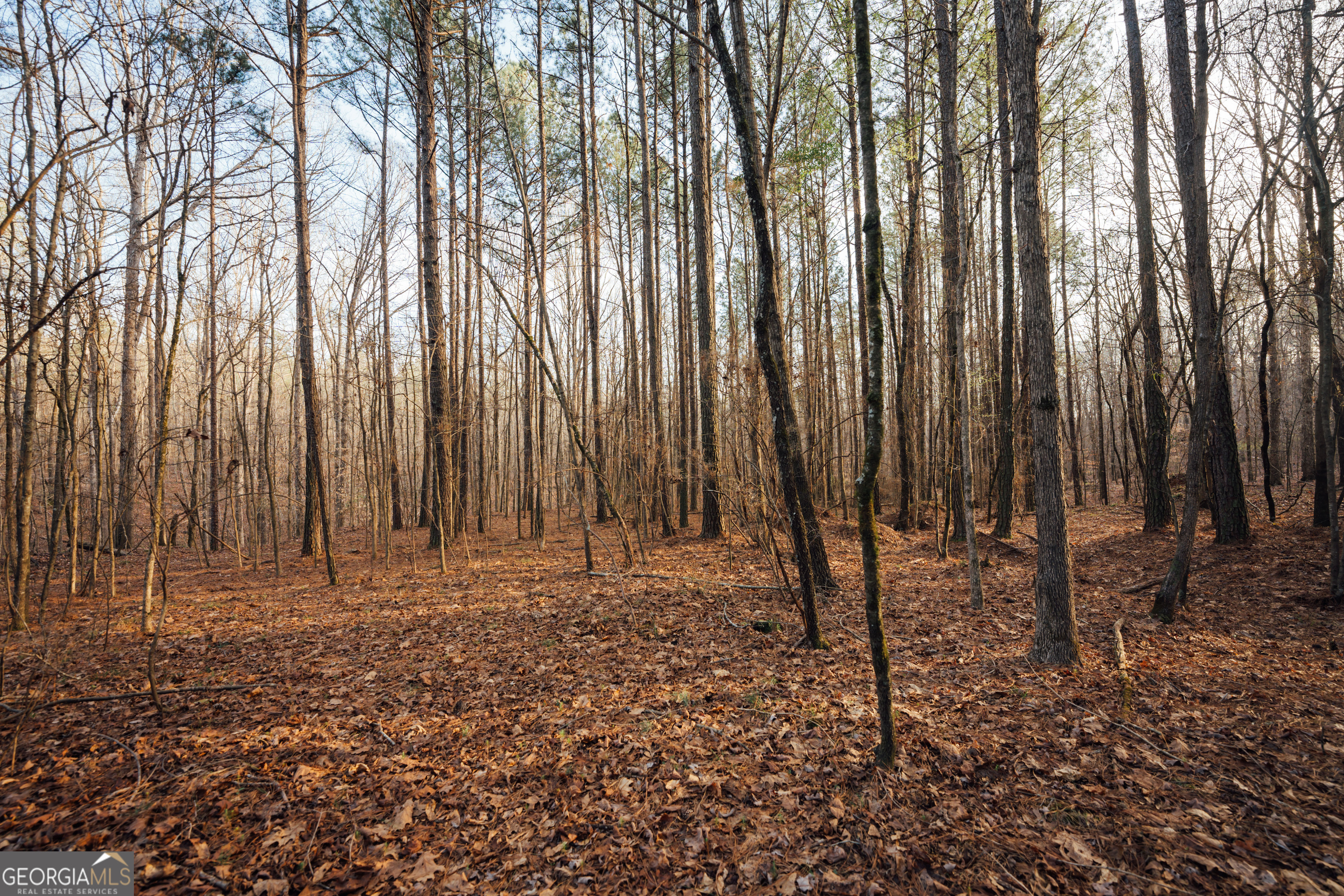 28.61-acres Sandy Creek Road Madison, GA 30650 - Photo 17 of 20 a view of wooden fence with trees in the background