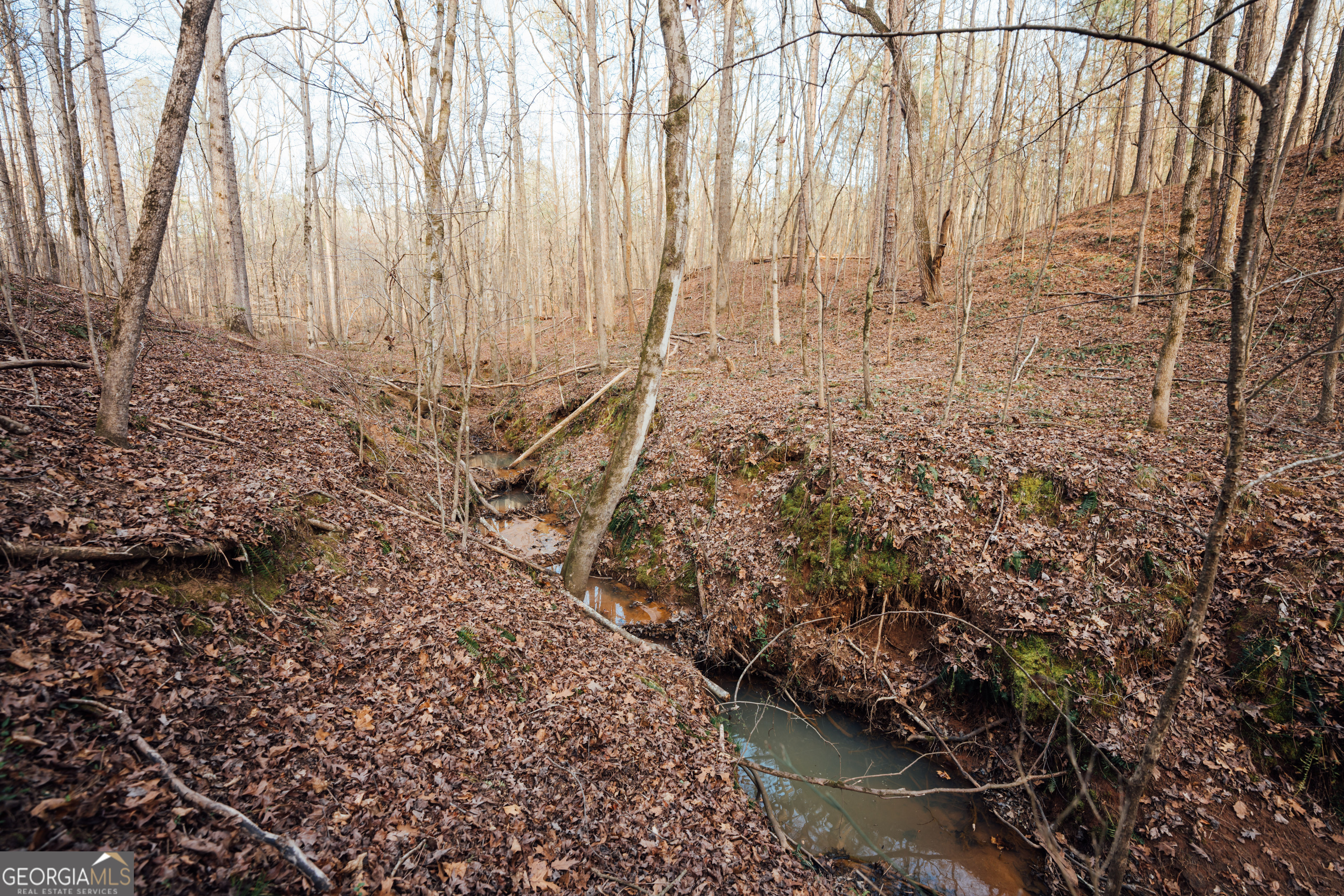 28.61-acres Sandy Creek Road Madison, GA 30650 - Photo 18 of 20 a view of a backyard of the house