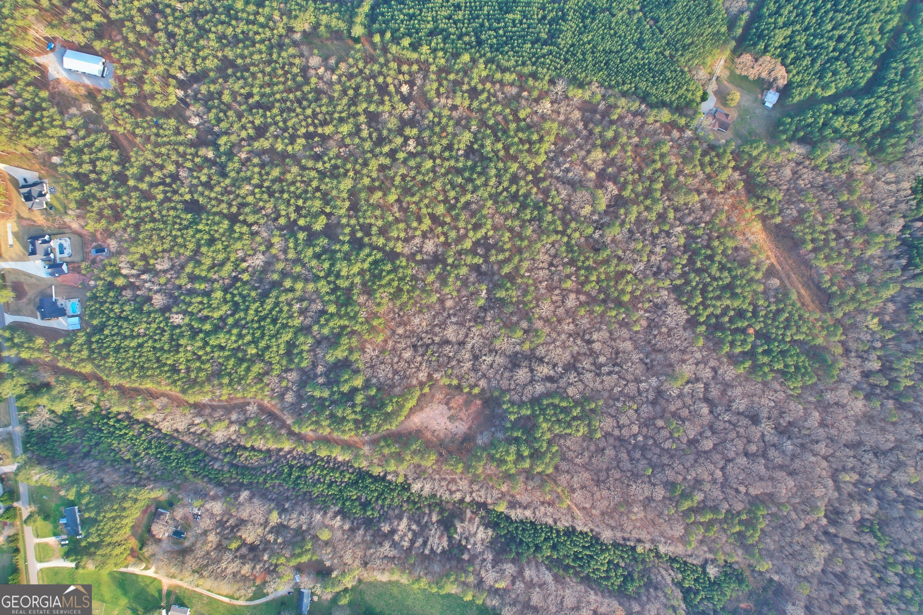 28.61-acres Sandy Creek Road Madison, GA 30650 - Photo 19 of 20 a backyard of a house with lots of green space