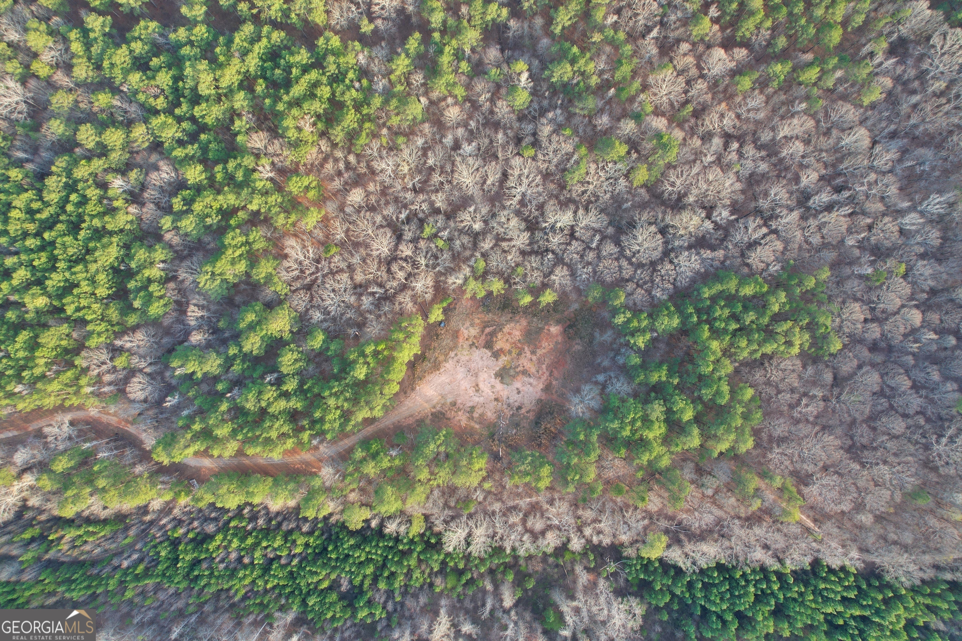 28.61-acres Sandy Creek Road Madison, GA 30650 - Photo 20 of 20