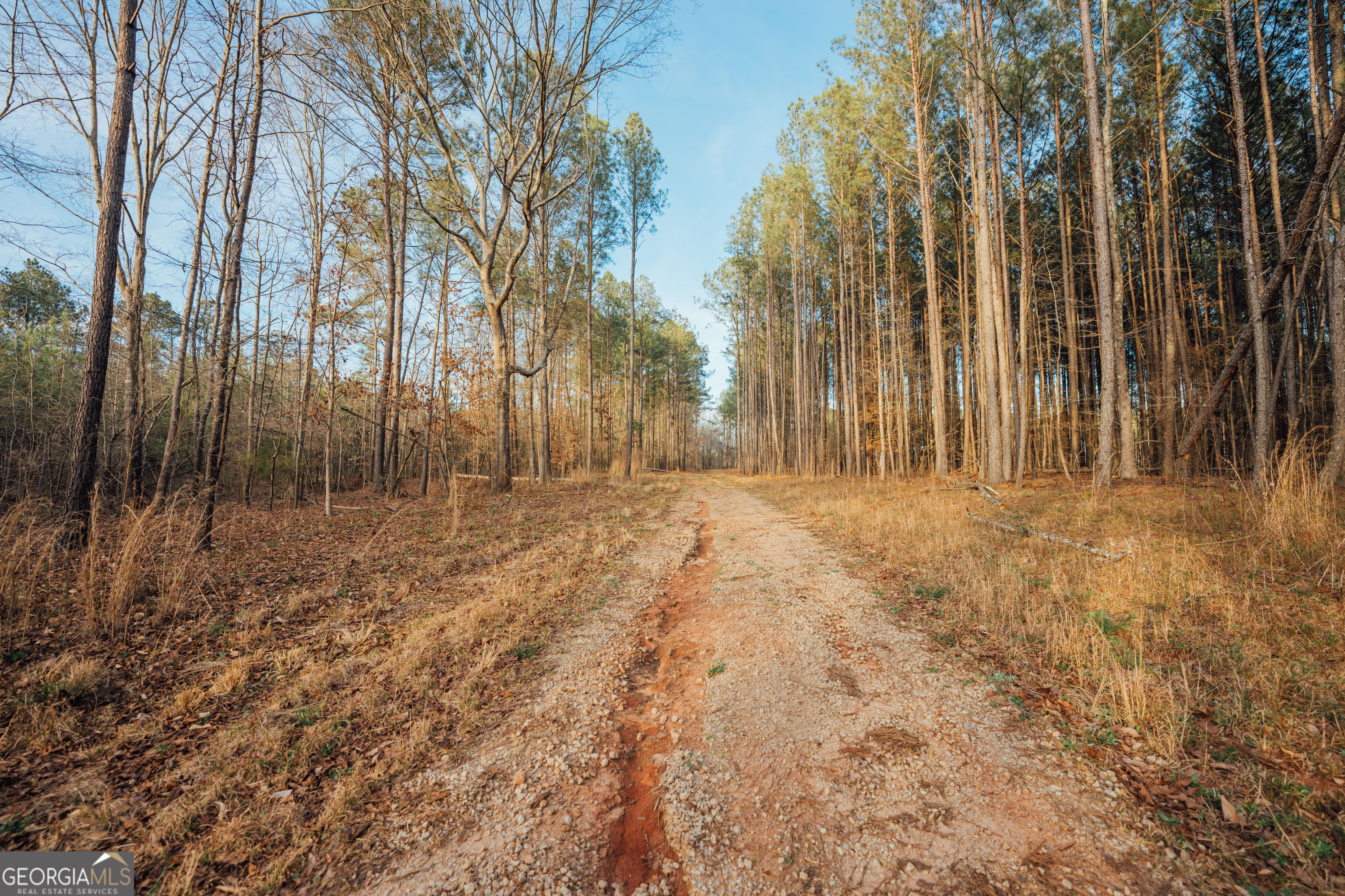 28.61-acres Sandy Creek Road Madison, GA 30650 - Photo 3 of 20 a backyard of a house with large trees
