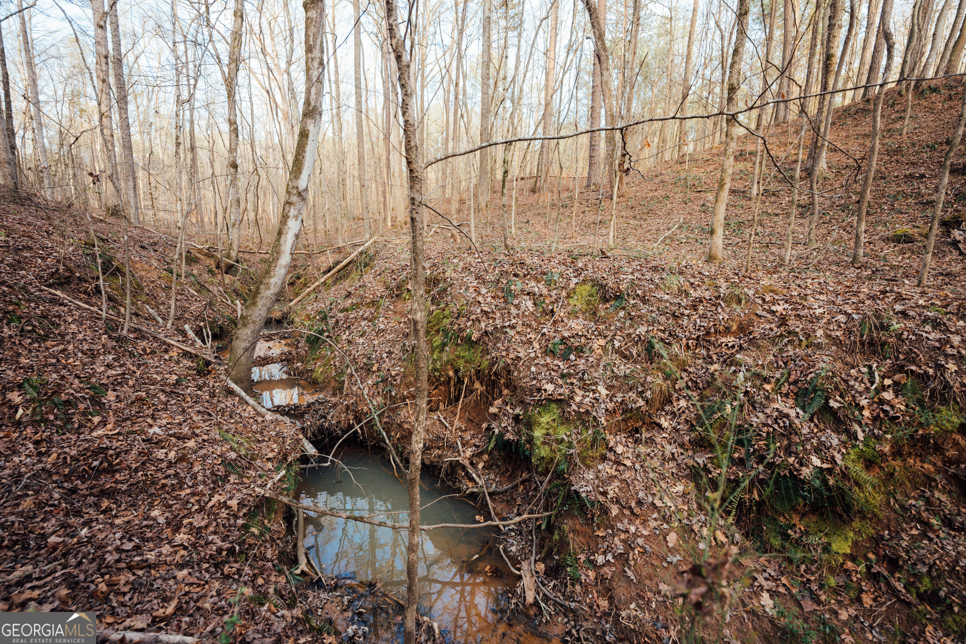 28.61-acres Sandy Creek Road Madison, GA 30650 - Photo 4 of 20 a view of a yard with a tree