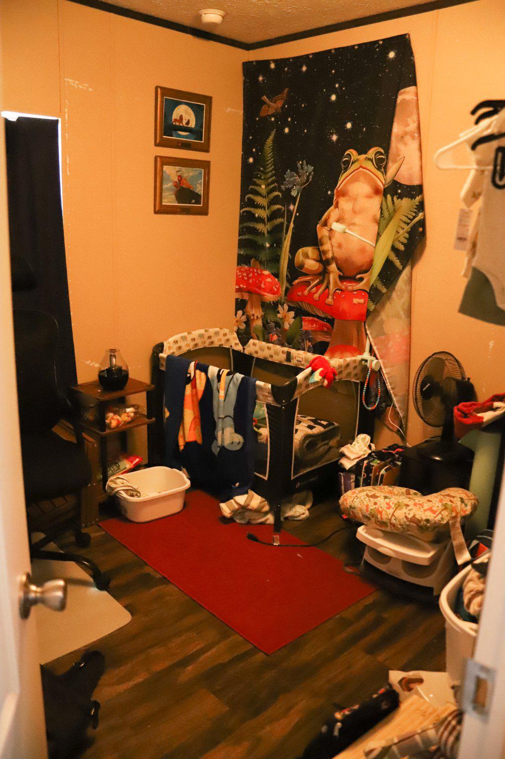 815 Mallorys Ford Road Louisa, VA 23093 - Photo 12 of 16